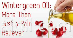 wintergreen oil 
